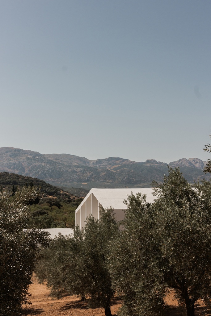 Hotel Rural en un Olivar | Villanueva del Rosario