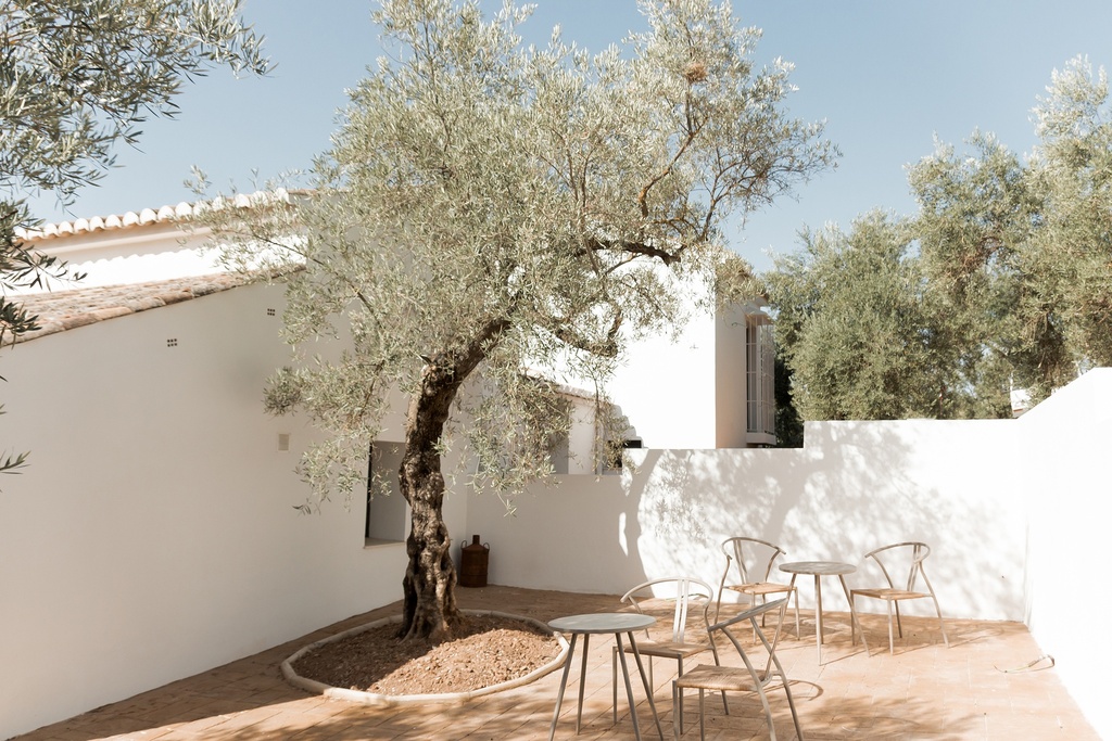 Hotel Rural en un Olivar | Villanueva del Rosario